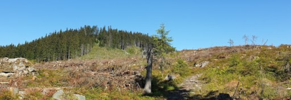 Landskampen Opp
